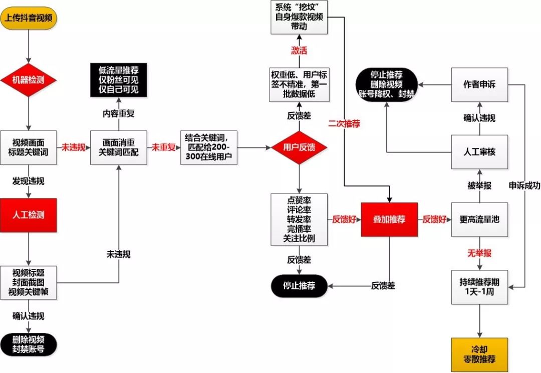 鳥哥筆記,新媒體運(yùn)營,松露,冷啟動(dòng),短視頻